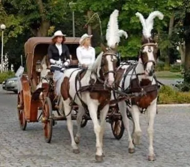 Libero Hotel Milicz